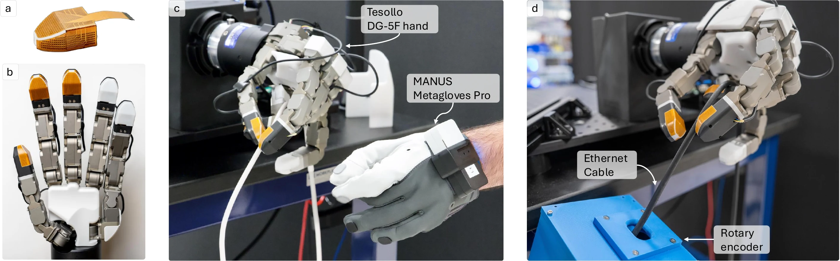 TacV5 fingertip sensor, Tesollo DG-5F hand, Manus teleoperation glove, cable routing, and rotary encoder setup